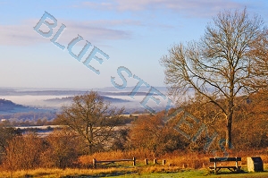 newlands corner 5